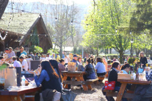 An open public space with surrounding greenery